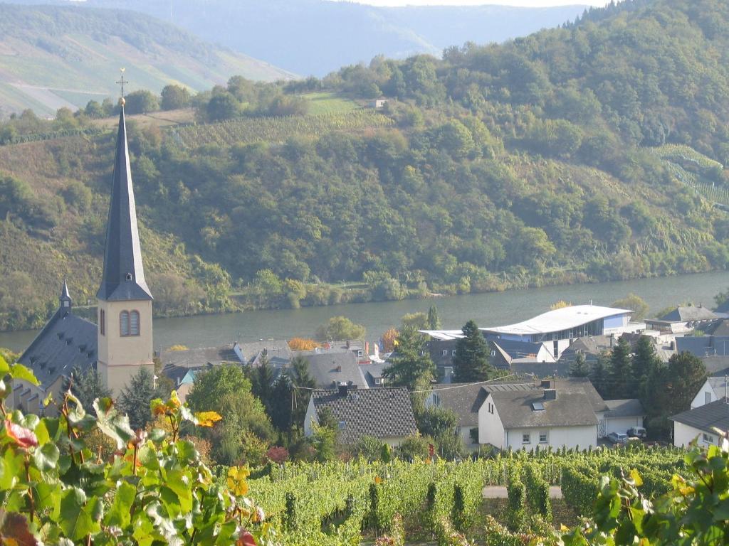 Отель Weinfelderhof Креф Экстерьер фото